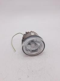 Fendinebbia destro (luci)