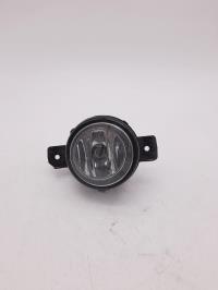 Fendinebbia destro (luci)