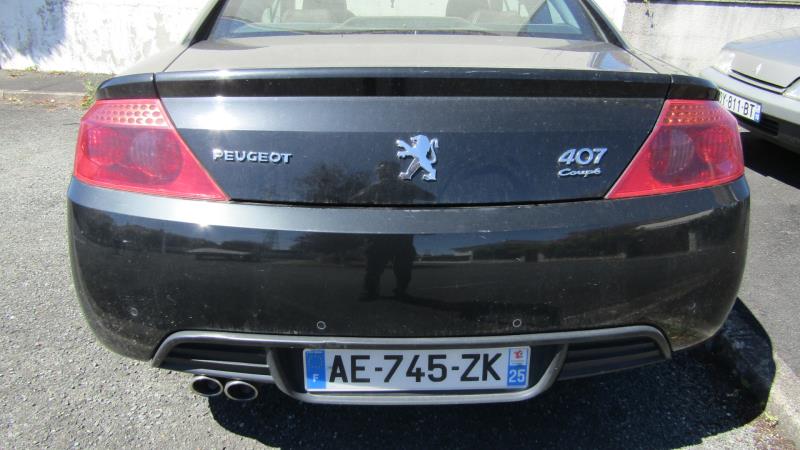Cardan gauche (transmission)