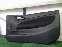 Panneau de porte avant droit