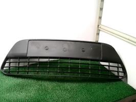 Grille de pare choc