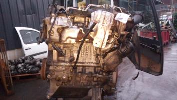 Motore