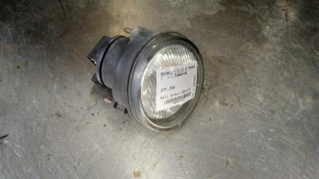 Fendinebbia sinistro (luce)