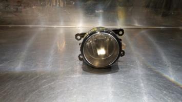 Fendinebbia destro (luci)