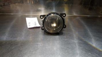 Fendinebbia sinistro (luce)