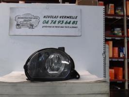 Fendinebbia destro (luci)