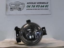 Fendinebbia sinistro (luce)