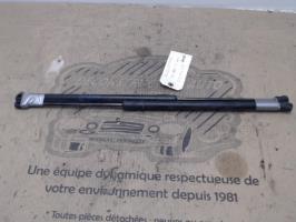 Verin de coffre