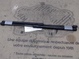 Verin de coffre