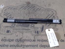 Verin de coffre
