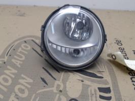 Fendinebbia sinistro (luce)