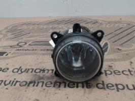 Fendinebbia sinistro (luce)