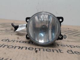 Fendinebbia sinistro (luce)