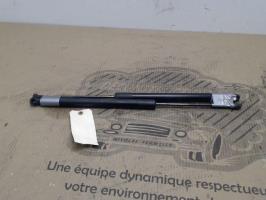 Verin de coffre
