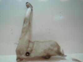 Vase de lave glace