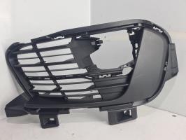 Grille de pare choc
