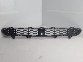 Grille de pare choc