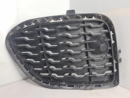 Grille de pare choc