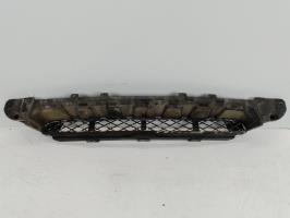 Grille de pare choc