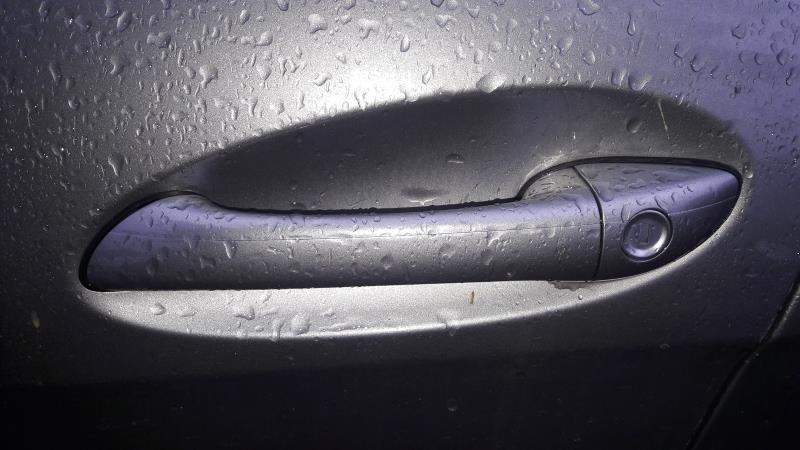 Poignee porte avant gauche