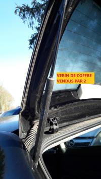 Verin de coffre
