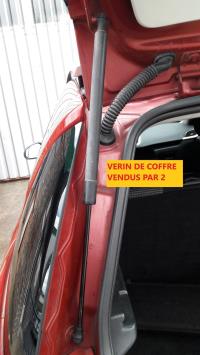 Verin de coffre