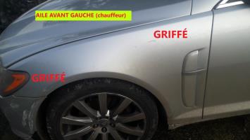 Aile avant gauche