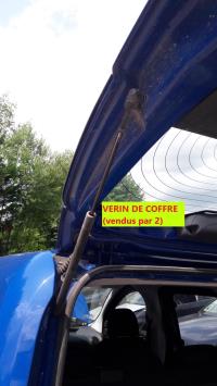 Verin de coffre