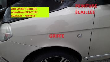 Aile avant gauche