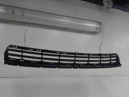 Grille de pare choc