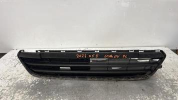 Grille de pare choc
