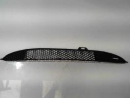 Grille de pare choc