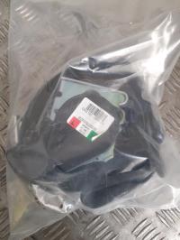 Cintura di sicurezza posteriore destra