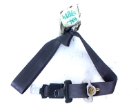 Ceinture arriere centrale