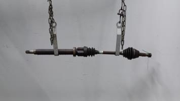 Cardán derecho (transmisión)