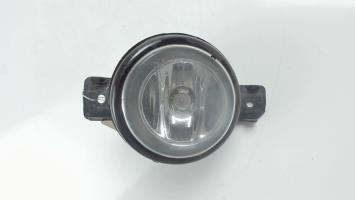 Fendinebbia sinistro (luce)