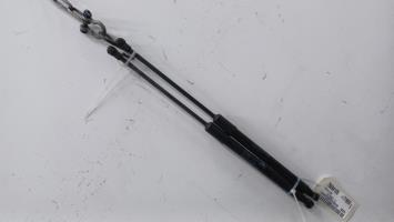 Verin de coffre