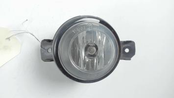 Fendinebbia sinistro (luce)