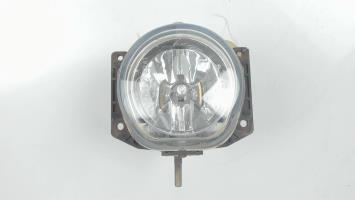 Fendinebbia destro (luci)