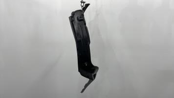 Parasale posteriore sinistro