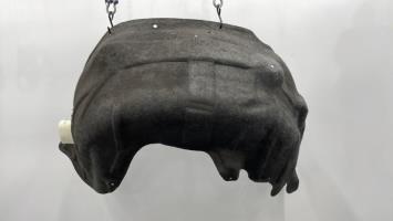 Parasale posteriore sinistro