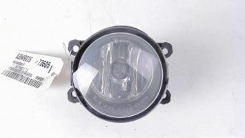 Fendinebbia sinistro (luce)