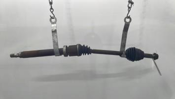 Cardán derecho (transmisión)