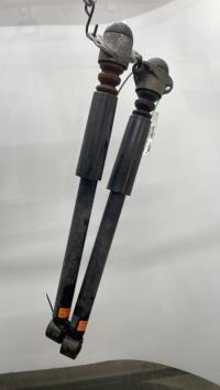 Ammortizzatori posteriori