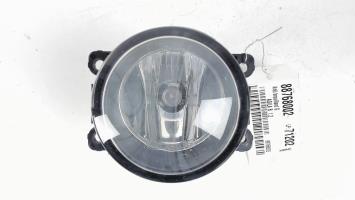 Fendinebbia sinistro (luce)