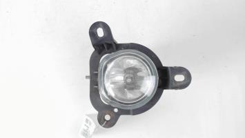Fendinebbia sinistro (luce)