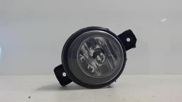 Fendinebbia sinistro (luce)