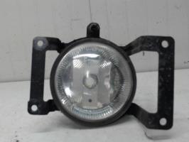 Fendinebbia sinistro (luce)