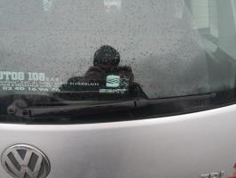 Motore tergicristallo posteriore