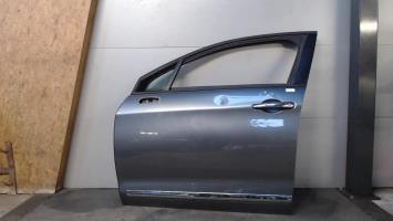 Porte avant gauche